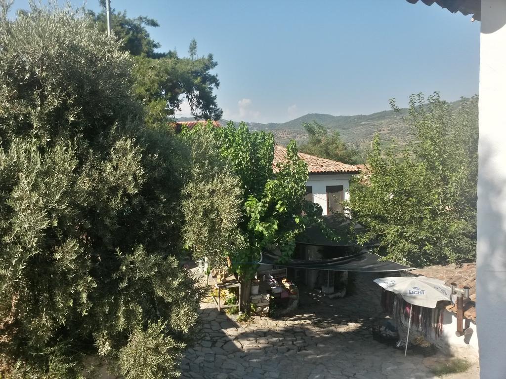 Zeytinli Konak Guest House Selcuk ห้อง รูปภาพ